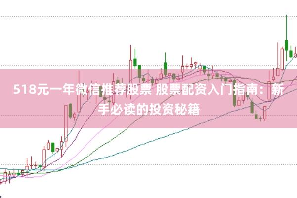 518元一年微信推荐股票 股票配资入门指南：新手必读的投资秘籍