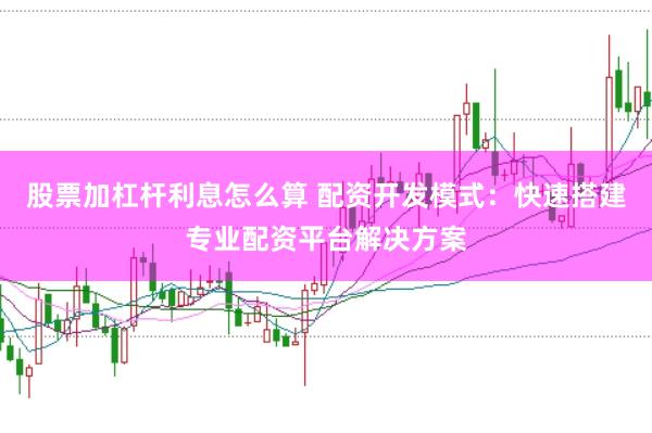 股票加杠杆利息怎么算 配资开发模式：快速搭建专业配资平台解决方案