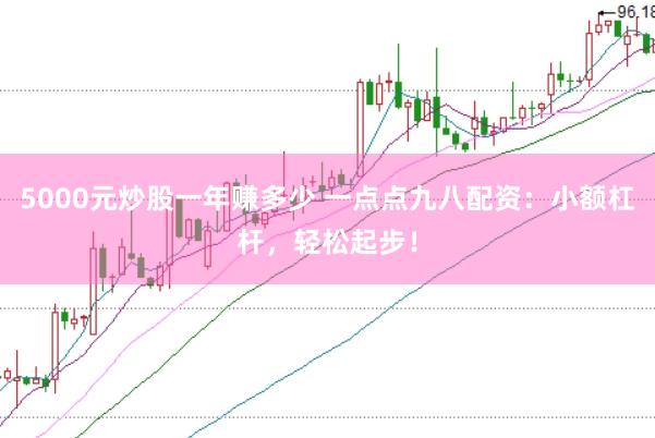 5000元炒股一年赚多少 一点点九八配资：小额杠杆，轻松起步！
