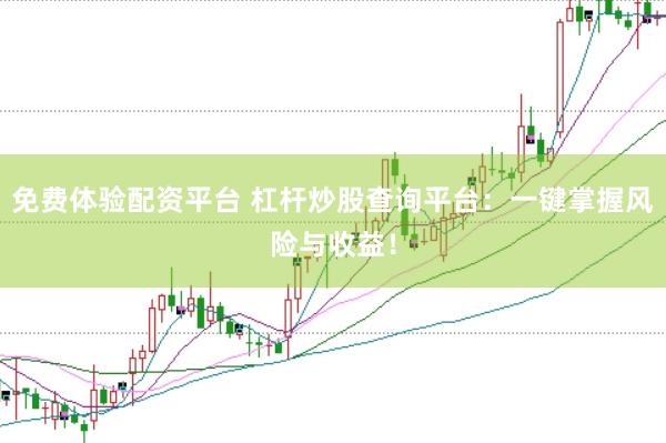 免费体验配资平台 杠杆炒股查询平台：一键掌握风险与收益！