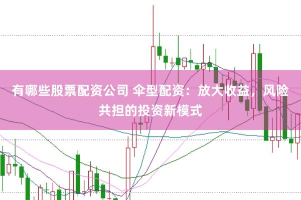 有哪些股票配资公司 伞型配资：放大收益，风险共担的投资新模式