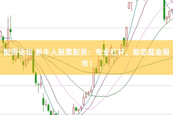 配资论坛 新牛人股票配资：专业杠杆，助您掘金股市！