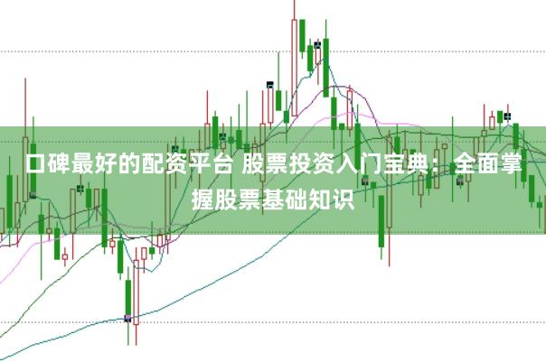 口碑最好的配资平台 股票投资入门宝典：全面掌握股票基础知识