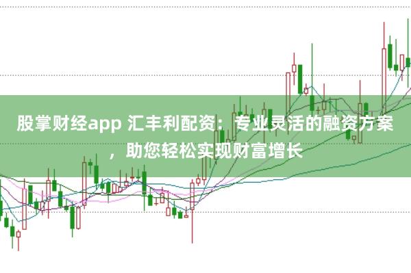 股掌财经app 汇丰利配资：专业灵活的融资方案，助您轻松实现财富增长